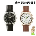 日本初!アナログボイスウォッチ 【ボイス電波腕時計】 GRUS 音声 腕時計