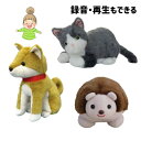ファミリーコミュニケーションシリーズ【おしらせミイちゃん おしらせハリくん おしらせハチくん】 群馬電機(3)