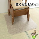 畳の上でも使用できる【おくだけピタッ 拭けるポータブルトイレマット】 サンコー トイレマット