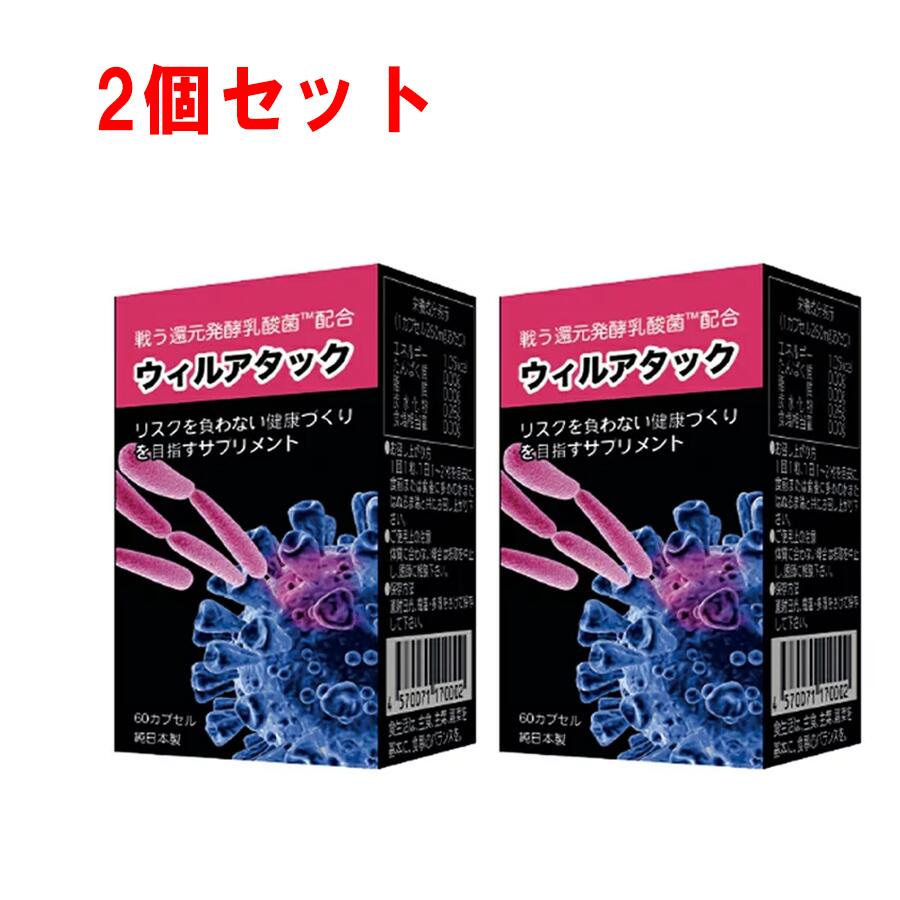 ウィルアタック 2個セット 〜超微粒子カプセル〜 還元発酵乳酸菌 乳酸菌発酵エキス