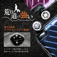 スーツケースキャリーケースキャリーバッグ小型Sサイズ超軽量ダブルキャスターTSAロック搭載ムーク【M∞K】