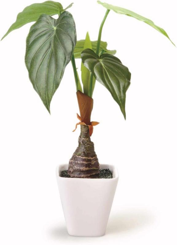 乐天商城 - ケーアイジャパン インテリアグリーン 造花 観葉植物 光触媒 フェイクグリーン (白 陶器 スクエア ポット)
