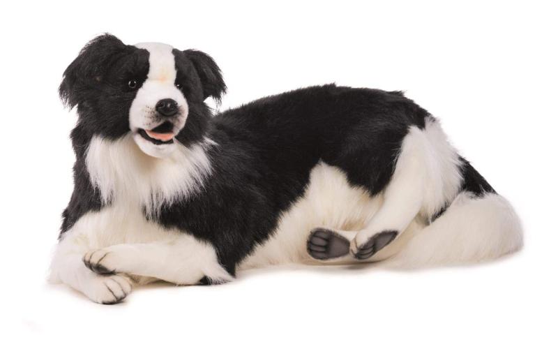 楽天市場】ボーダーコリー ぬいぐるみ（ホビー）の通販