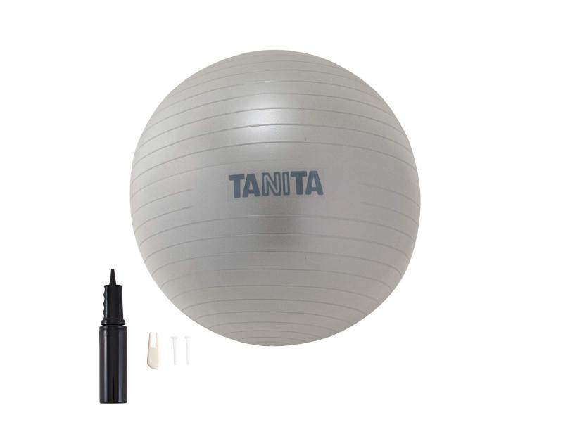乐天商城 - タニタ(Tanita) サイズ ジムボール TS-962 シルバー