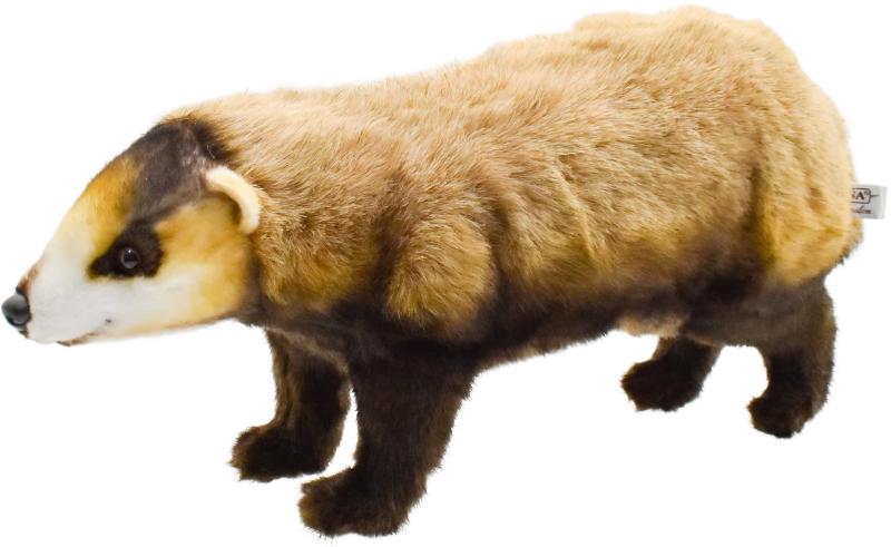 BH8148 ハンサ (HANSA) ニホンアナグマ 54