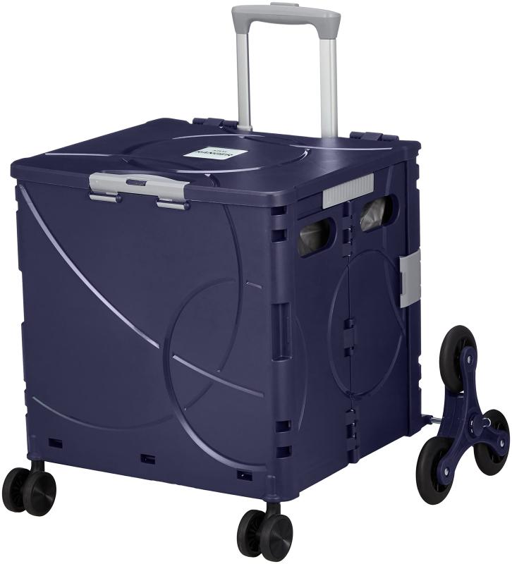 Rakuten - コンパクトキャリーケース Ranger 36L