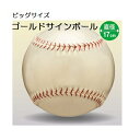 ゴールド サインボール 野球 ビッグサイズ 17cm BB78-27(UNIX) 特大記念ボール お祝い 記念品 寄せ書き