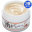 2個セット 杜氏の酒粕 湧き出るクリーム 50g×2個セット マイノロジ オールインワン フェイスクリーム スキンケア コスパ 時短 美肌 保湿 サラサラ 高評...