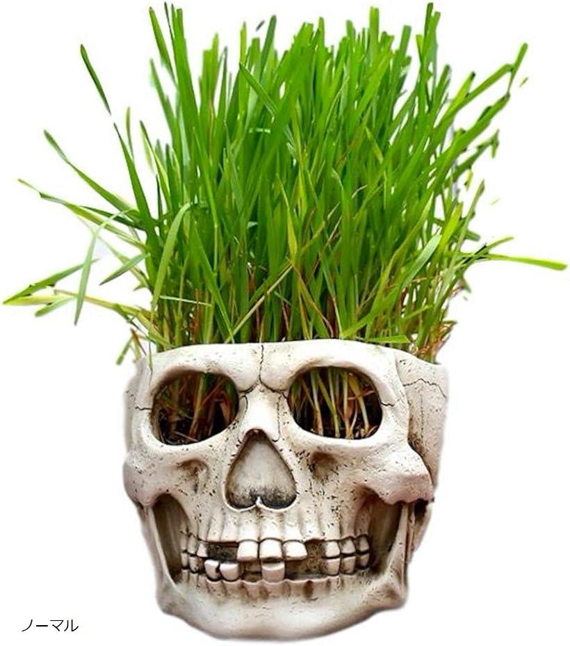 【楽天ランキング1位入賞】ドクロ 植木鉢 プランター インテリア 小物入れ 頭蓋骨 髑髏 骸骨 ガイコツ ノーマル