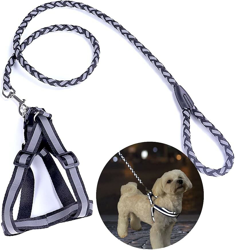 Harness Leash - ハーネス リード 首輪 2点セット ペット用品 犬散歩 お出かけ用 M 黒 (黒, M)