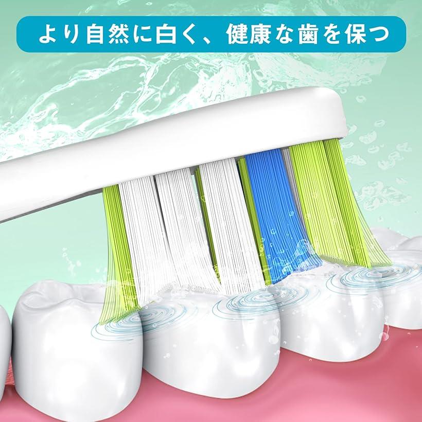 互換ブラシ 10本入り 替えブラシ フィリップス ソニッケアー 電動歯ブラシ 用の philips sonicare ブラシヘッド 歯垢除去 家庭用 白