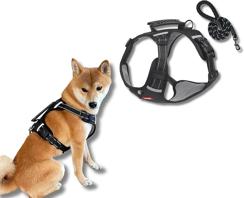 Other - 犬 ハーネス リード セット 小型犬 中型犬用 散歩 反射テープ付き 脱着簡単 軽量 通気性 (ブラック, S)