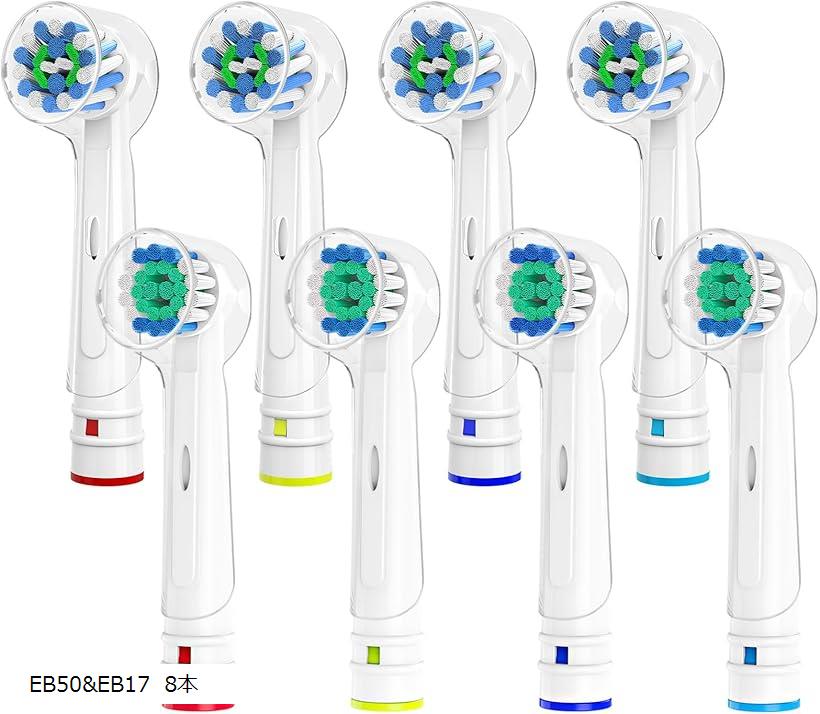 饤󥹥ȥ㤨ָߴؤ֥饷 ߴ֥饷 ư֥饷 ֥饦󥪡B ޥ֥饷 ١å֥饷 ץߥ֥饷إå  8ܥå EB50EB17 8ܡפβǤʤ1,580ߤˤʤޤ