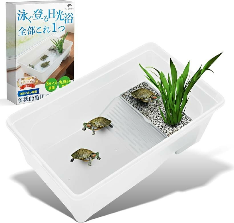 爬虫類飼育アドバイザー監修 亀 水槽 カメ タートル 飼育ケース クリア 水中 陸地 日光浴 ひなたぼっこ 多機能 PP素材 丈夫 透明 観察しやすい 洗いやすい 脱走防止 小型 ペット用 (ホワイト 小サイズ（25x17x11cm）)