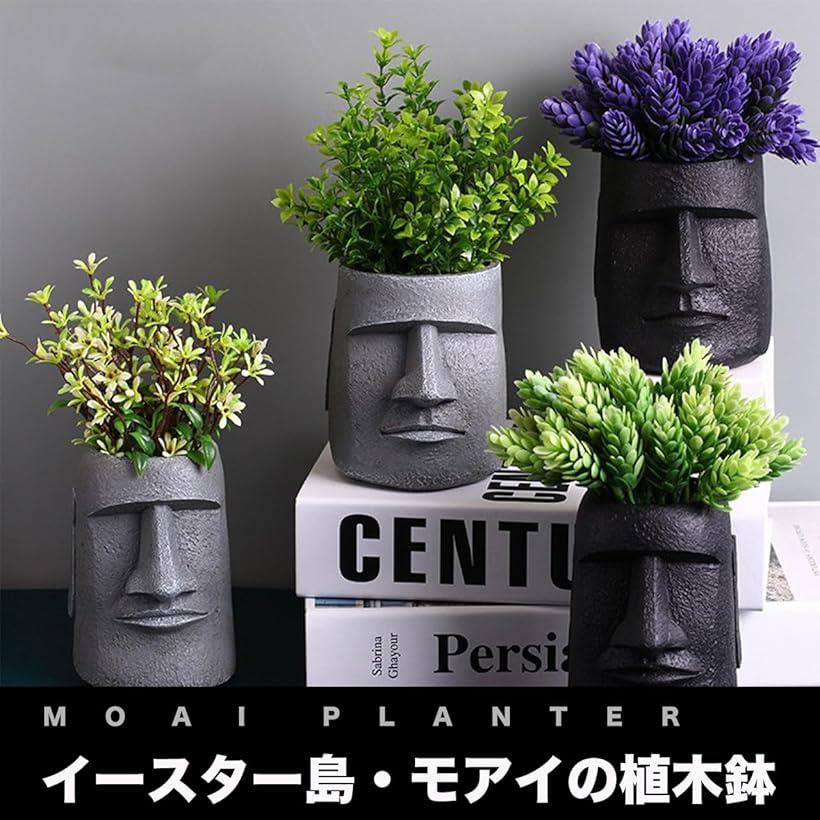 ����ȭ �⥢�� �ץ�󥿡� ������������ ¿����ʪ ȭ���� �󤻿��� ����ƥꥢ ���襤�� ������� �����ǥ˥� ���֥��� �ե��ݥå� ���� ���� ���졼 B������ �֥�å� A������