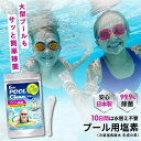 【楽天ランキング1位入賞】お得な大容量サイズ大型プール用 塩素 250g 日本製 1000Lにスプーン1杯 125杯分 除菌 家庭用プール 塩素剤 Eco POOL Clean 10日水替え不要 計量スプーン付 次亜塩素酸水生成
