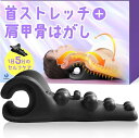 【楽天ランキング1位入賞】首 と 肩甲骨 同時ケア ネックピロー1日5分の健康習慣 背中のストレッチ 肩胛骨はがしピロー 首まくら リラックス