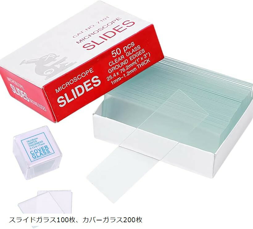 お買い物マラソンP5倍【楽天1位獲得】お子様、お孫さんのプレゼントに最適！ 標本48付 学習用 1200x 顕微鏡 実験 知育 生物顕微鏡と反射顕微鏡 子供の頃から科学への興味を育てる マイクロスコープ 子供用 小学生 中学生 高校生 初心者 自由研究 クリスマス 進学祝い