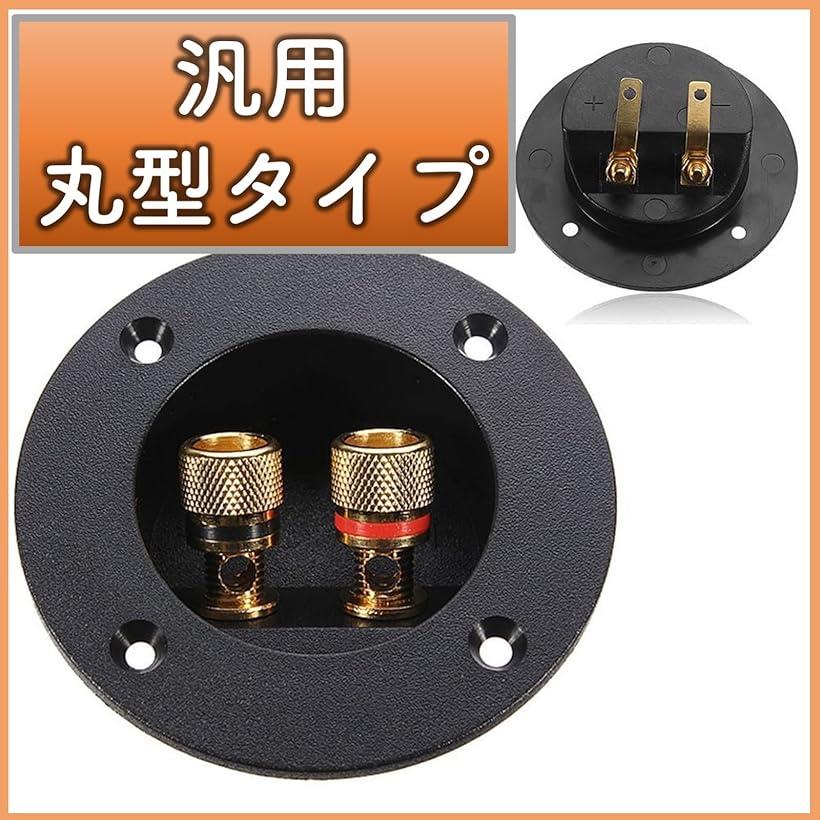 �ߴ���A-Tail ���Ѵݷ����ԡ����������ߥʥ�ܥå��� �Хʥʥץ饰 �����ǥ��� 10�����å�