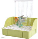 インコ シャワー 水浴び バードバス 鳥 小鳥 清潔 自動循環 容器 USB給電 グリーン