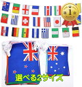 【楽天ランキング1位入賞】万国旗 運動会 100ヶ国分 選べる大小サイズ / 全長は25mと32m 日の丸有 連旗 フェスティバル 国際交流