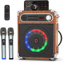 スピーカーセット 拡声器 ワイヤレスマイク2本 Bluetooth 5.0対応 高低音強化機能搭載