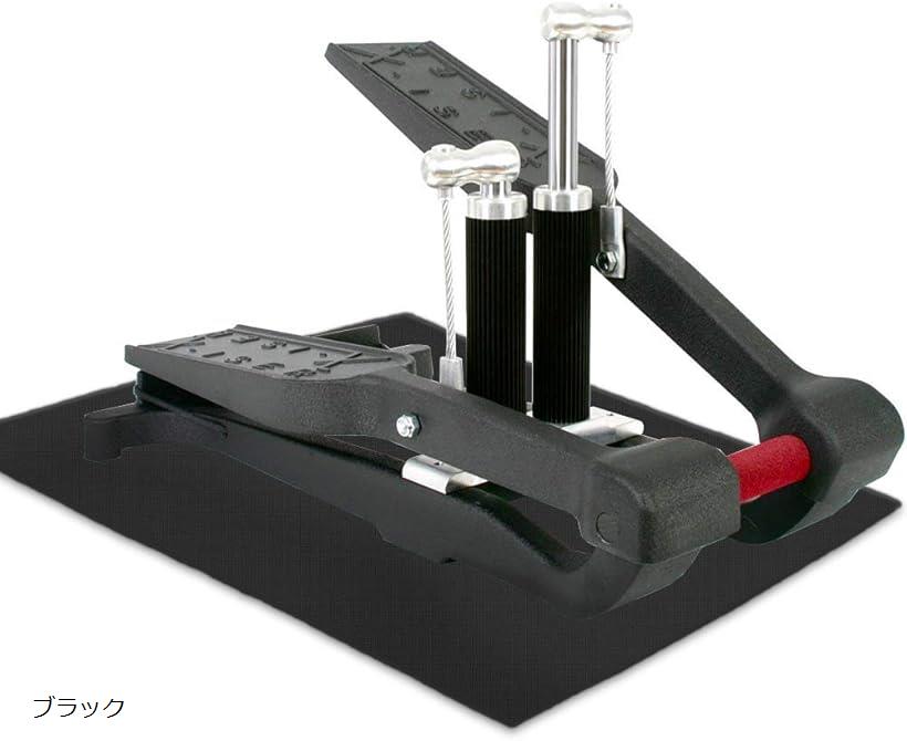 饤󥹥ȥ㤨֥ Pro Trainer ץ ƥåѡ եޥå KOTORI ֥åפβǤʤ91,800ߤˤʤޤ