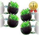 【楽天ランキング1位入賞】アクアリウム 水槽 オーナメント インテリア かくれ家 ガラス 植物 無 ポット