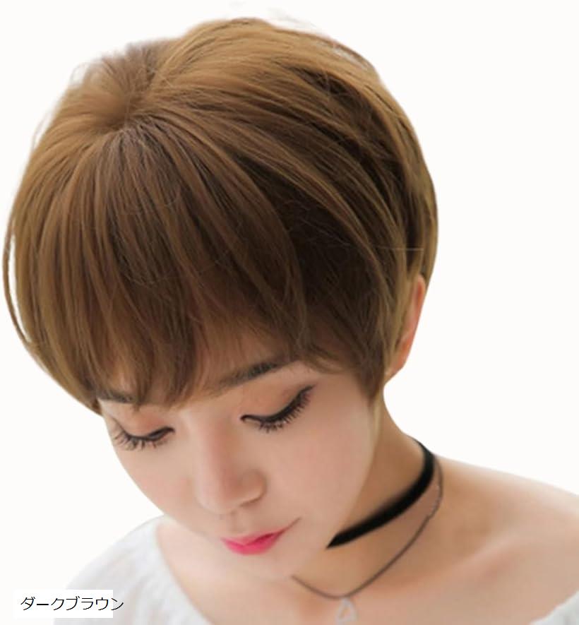 ウィッグ ショート ボブ フルウィッグ ふんわり 大人可愛い 自然 かつら ストレート ショートヘア 小顔効果 耐熱 仮装 男装 ブラウン ブラック ダークブラウン
