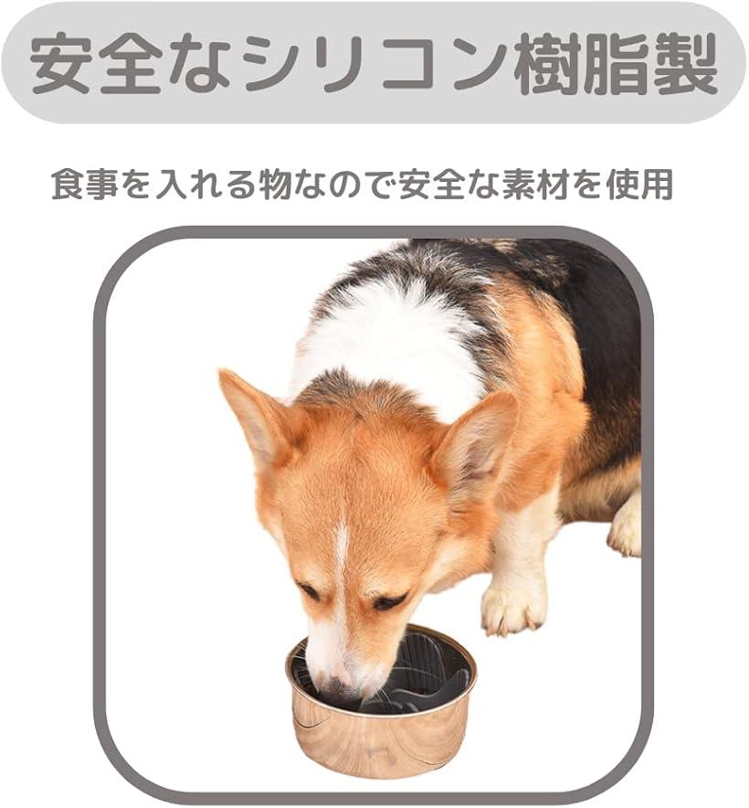 �������ե������� �Ῡ���ɻ� �����ɻ� ��ä��꿩�� ���߹����ɻ�