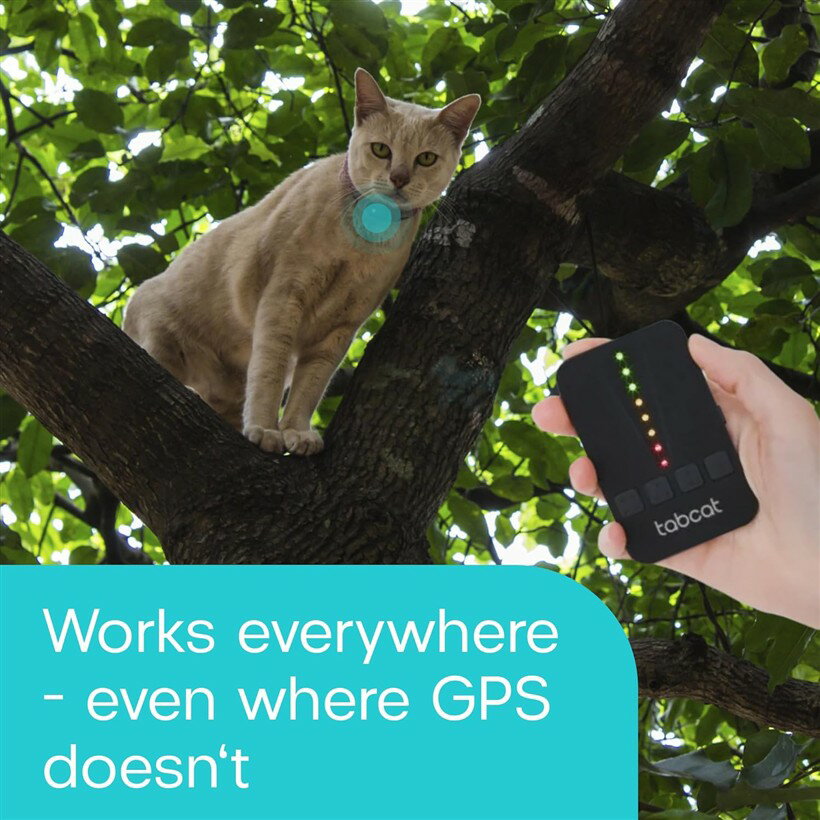 V2 ǭ�Ȼ�ǭ�Υȥ�å��� ���ܸ�谷�������� GPS�������� ��������������������� 2�ĤΥۡ��ߥ󥰥����դ� ����500�ե����Ȥ��ϰ� �����Ƿ��̤ʥ��� ���⳰��ǭ�򸫤Ĥ���Τ˺�Ŭ ���åȰ켰