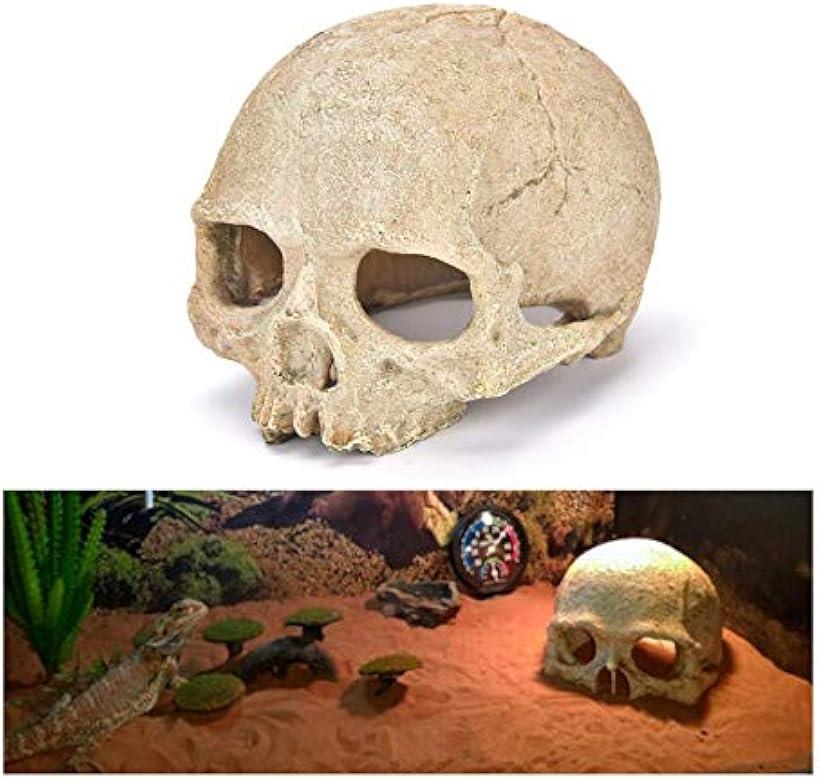 爬虫類 ケージ シェルター スカル 飼育ケース レオパ リクガメ トカゲ ヤドカリ アクアリウム オブジェ