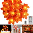 もう迷わない。毎年使えるリーフガーランドハロウィン 飾り 飾り付け 装飾 オーナメント セット パーティー プレゼント 商標登録済 Eリーフガーランド 「E」リ...