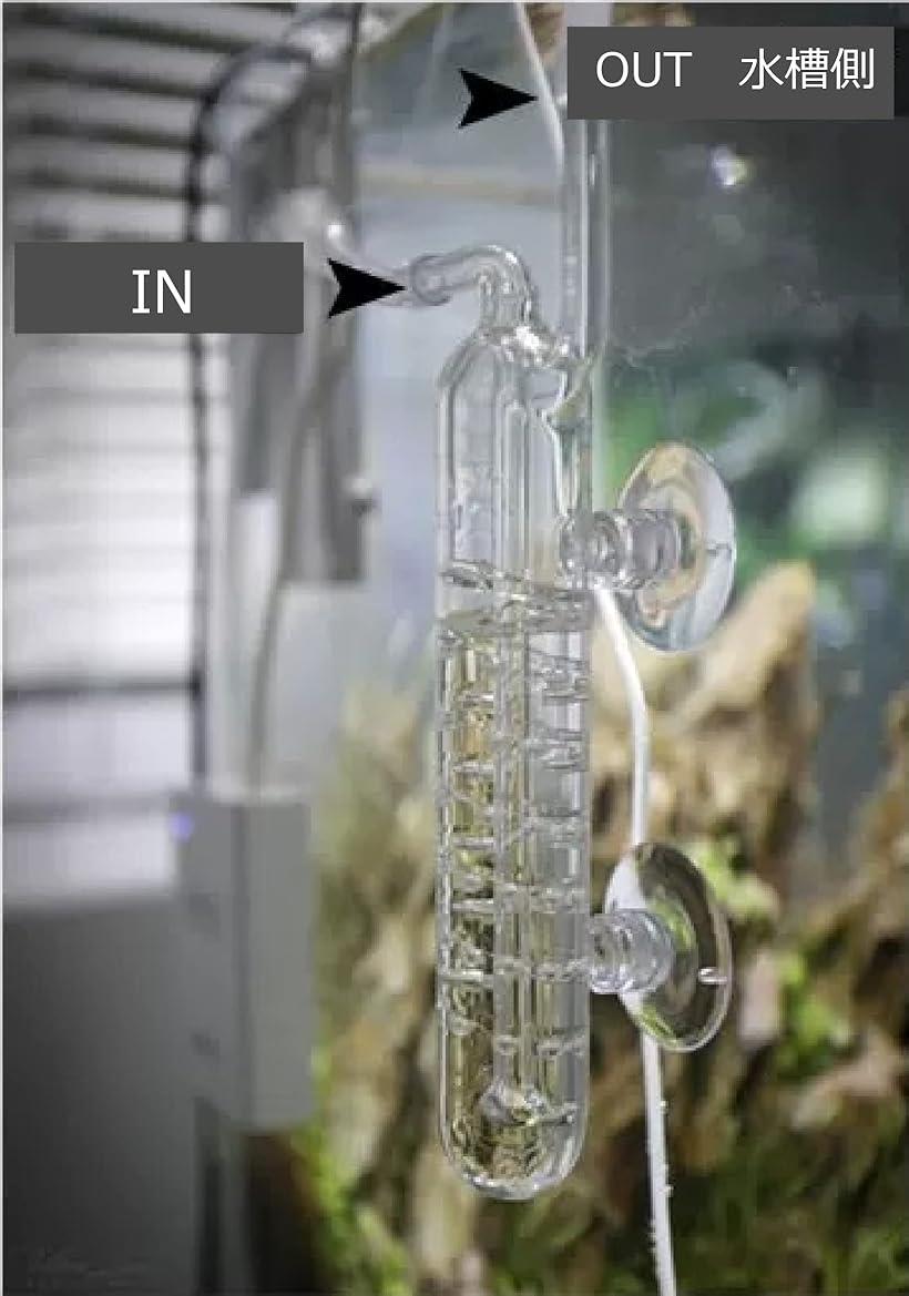 CO2�Ȼ��� �ǥ��ե塼���� �Х֥륫����� ���饹�� ���� ���� ���� �����դ�