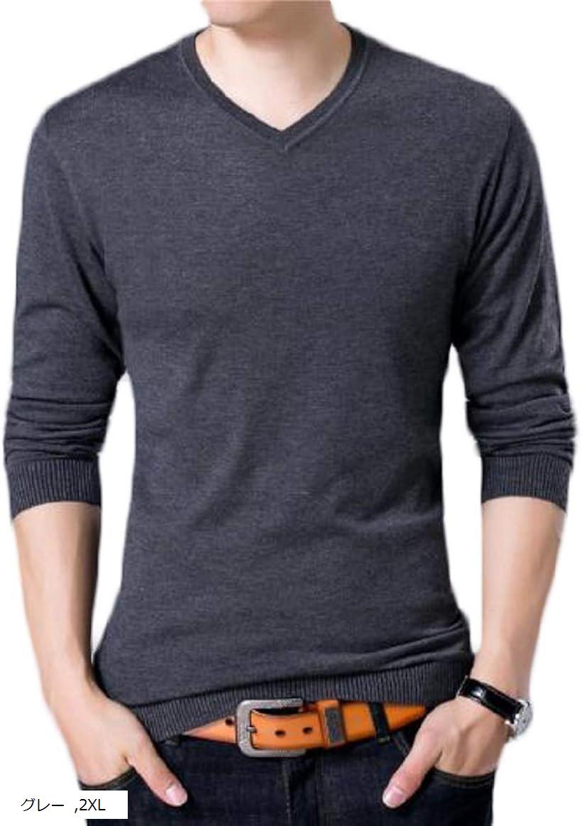 サンクシャ ニット セーター Vネック ウール 長袖 無地 シンプル カジュアル デザイン 秋 メンズ アメ..