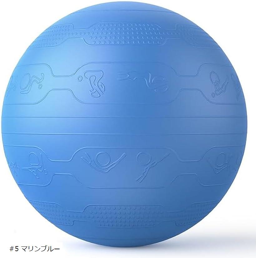 バランスボール 65cm ばらんすぼーる トレーニングガイドパターン付き 厚い ジムボール 椅子 スポーツ ..