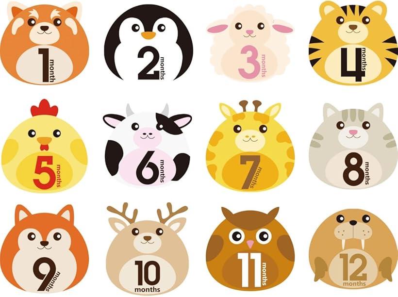 マンスリーカード 月齢フォト 月齢カード ベビーマンスリーカード 育児日記 マンスリーステッカー 記念日フォトシール 12枚