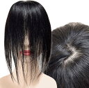 部分ウィッグ 前髪未カット センター分け 真ん中分け ヘアピース かつら 女性 レディース 人毛100% ストレート 分け目 シルク セミロング ナチュラルウィ...