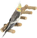 鳥の5連とまり木 天然木 鳥スタンド 枝 インコ おもちゃ 鳥おもちゃ アスレチック 階段 噛むおもちゃ 鳥用品 鳥休み場所 オウム パーチ