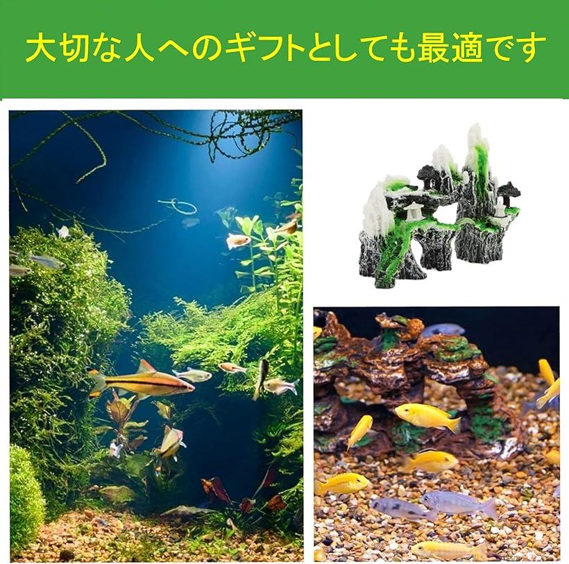 ���� �������ꥢ�� �����ʥ��� ���֥��� �ǥ��졼����� ��ʪ Ǯ�ӵ� ����� �� �� ��϶ ��