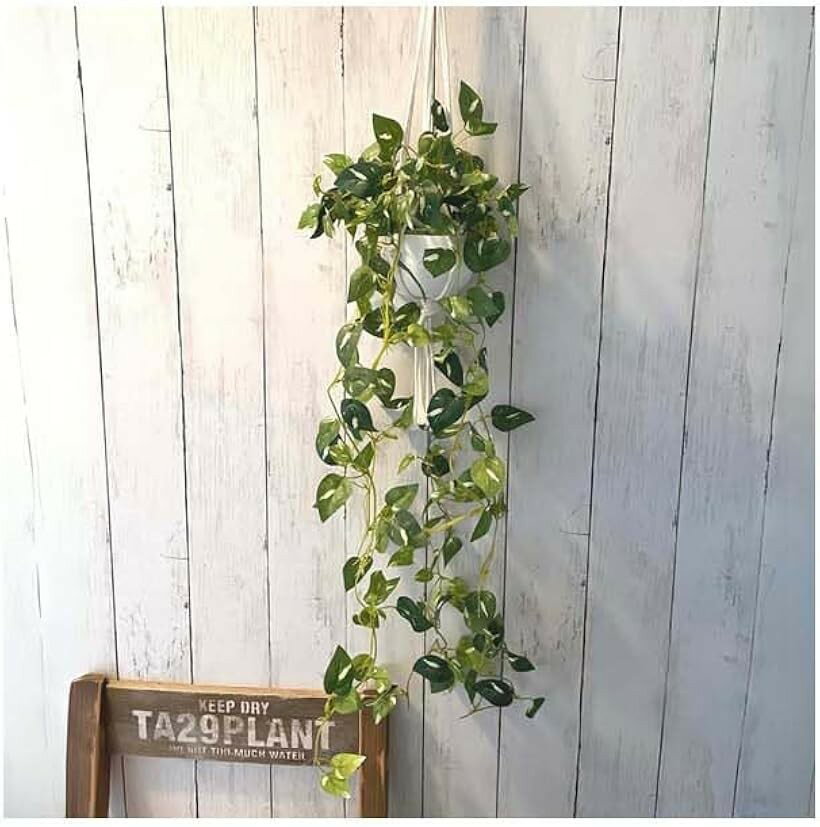 フェイクグリーン 吊り下げ 壁掛け 人工観葉植物 ハンギング インテリアグリーン 白ポット 白マクラメ60cm ポトス 全長70cm 1鉢 室内装飾に最適 ナチュラルグリーン