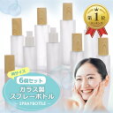 【楽天ランキング1位入賞】スプレーボトル 6本セット ガラス アトマイザー