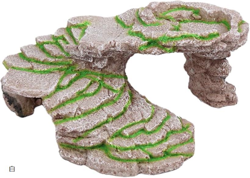 爬虫類 シェルター 亀 隠れ家 階段 休憩 洞窟 浮島 苔 白