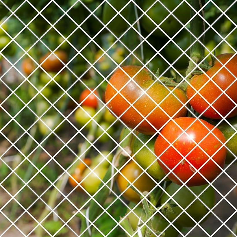 【楽天ランキング1位入賞】防鳥ネット 鳥よけネット ムクドリ対策 幅5mx長さ10m 結束バンド15本付 ベラ..