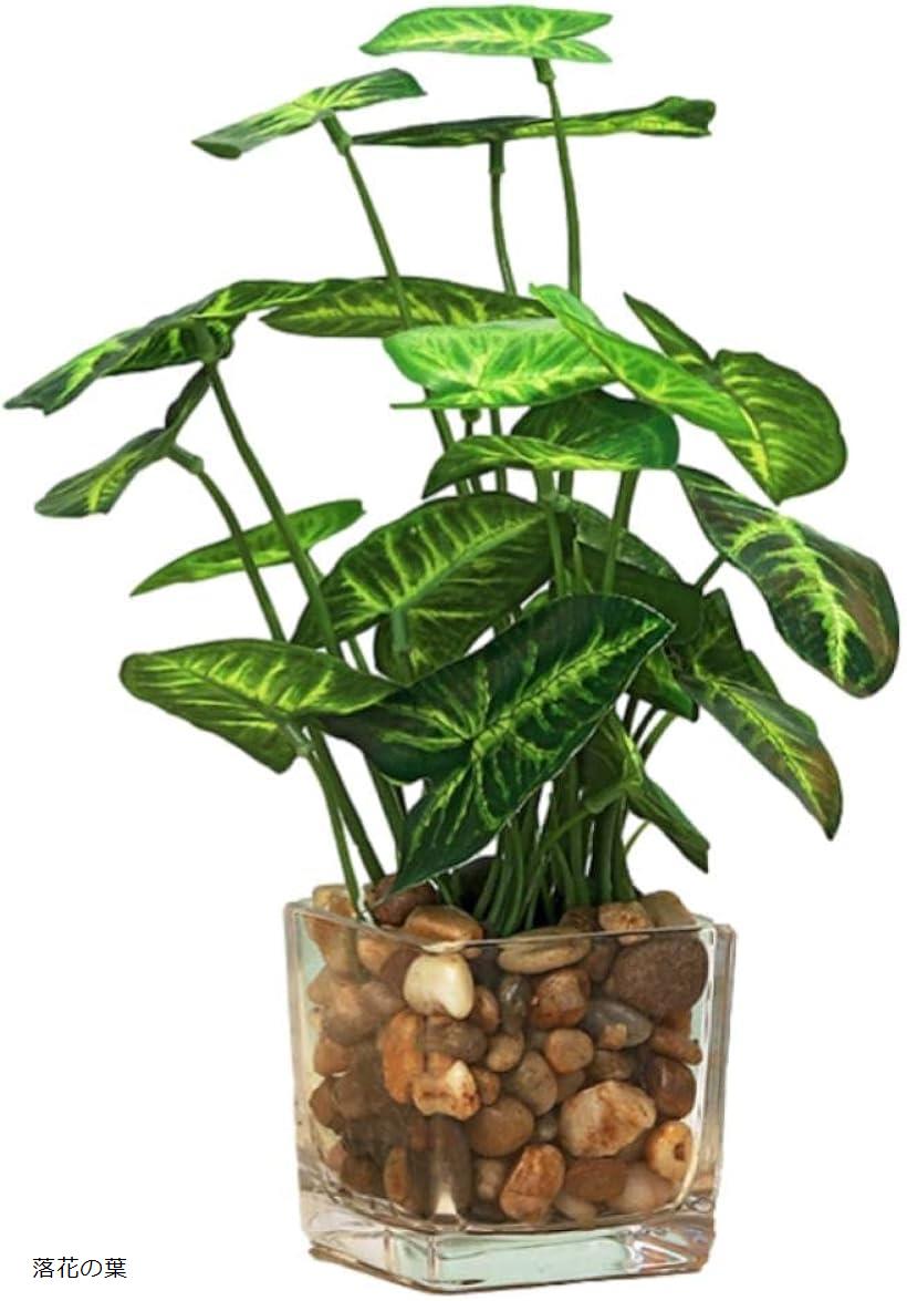 【楽天ランキング1位入賞】観葉植物 フェイク フェイクグリーン 造花 インテリア 蓮の葉 四葉のクローバー 常緑樹 落花の葉