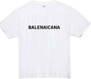 バレナイカナ tシャツ おもしろtシャツ 面白い