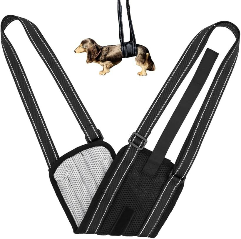 Other - 犬 歩行補助ハーネス ベルト型ドッグトレーナー監修幅広 メッシュ 洗える 介護 小型犬 中型犬 大型犬 老犬 お腹に食い込まない 優しい設計 Sサイズ 小型犬用 (ブラック, Sサイズ 小型犬用)