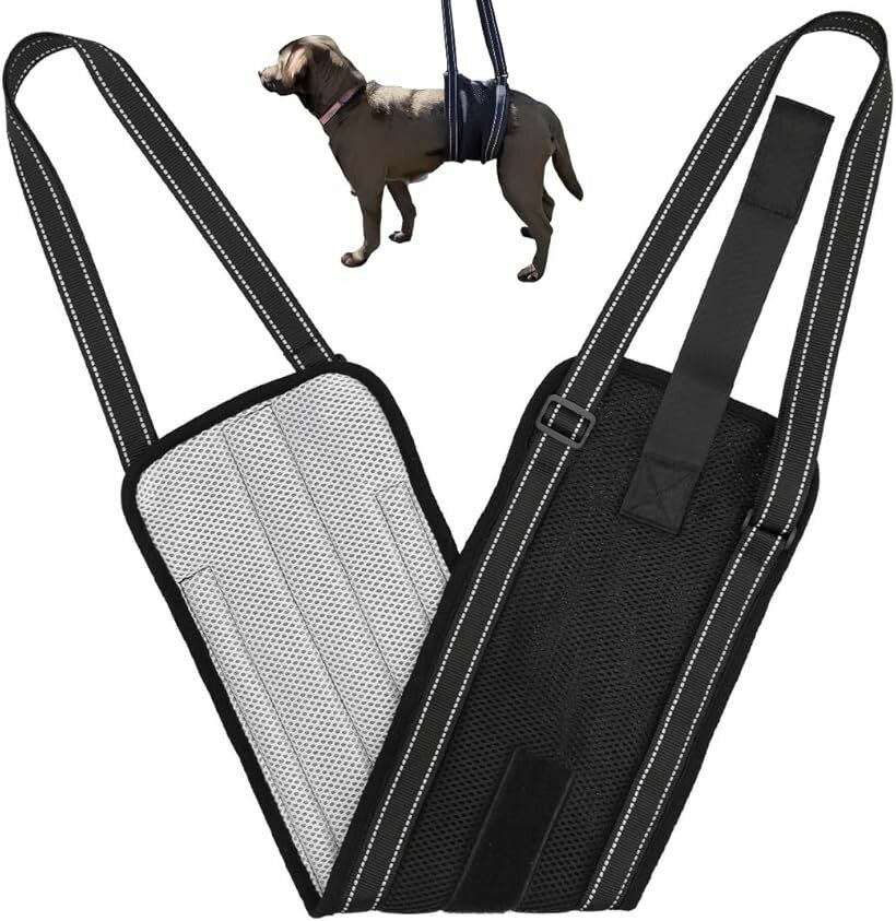 犬 歩行補助ハーネス ベルト型ドッグトレーナー監修幅広 メッシュ 洗える 介護 小型犬 中型犬 大型犬 老犬 お腹に食い込まない 優しい設計 Mサイズ 中/大型犬用 (ブラック, Mサイズ 中/大型犬用)