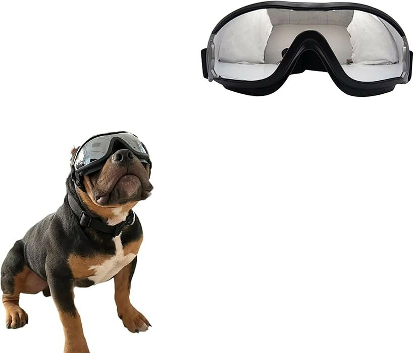 Toilet For A Walk - 犬用ゴーグル 小型犬 中型犬用 UVカット 風防 防塵 ドライブ 散歩用 ドッグサングラス 風砂よけ 旅行 お出かけ アウトドア (ブラック, M)
