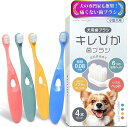 犬 歯ブラシ x x 4本セット